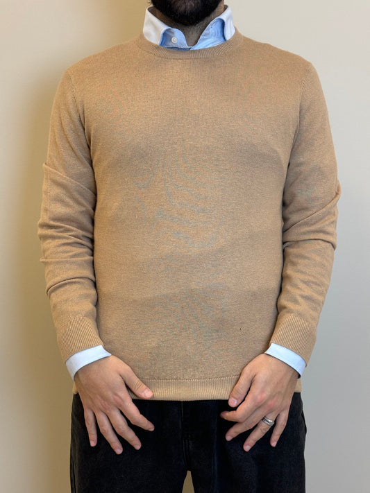 MK790036CAMMELLO