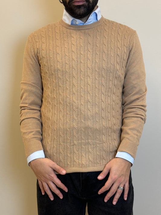 MK790037CAMMELLO